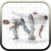 Beautiful Capoeira